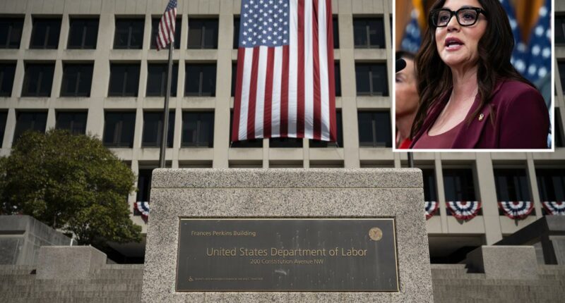 Labor Dept deploys âstrike teamâ to California over $21B unemployment debt, fraud concerns
